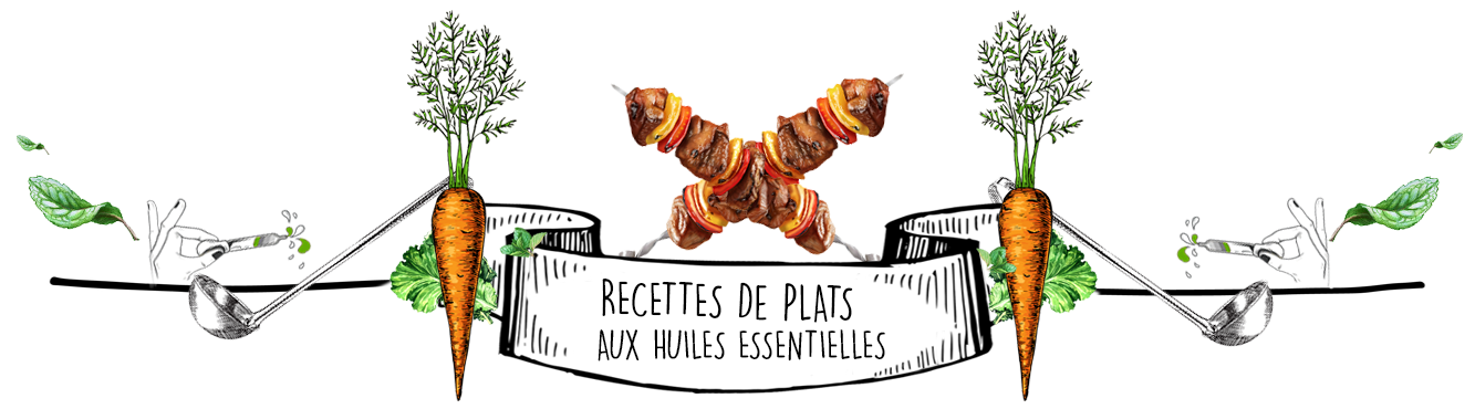 Cuisine et Recettes aux Huiles Essentielles : Les Plats